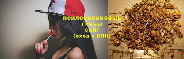 твердый Володарск