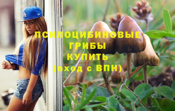 стафф Тавда