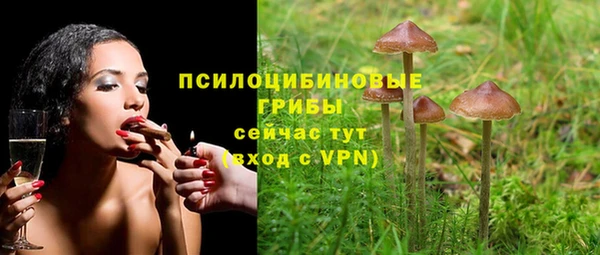 твердый Володарск