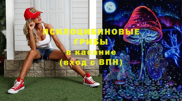 твердый Володарск