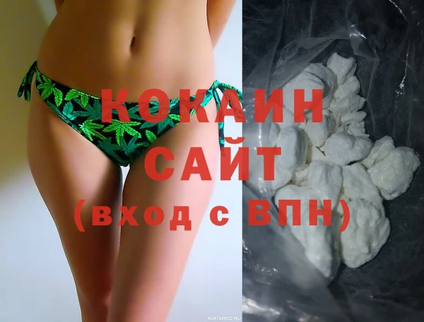 2c-b Бородино